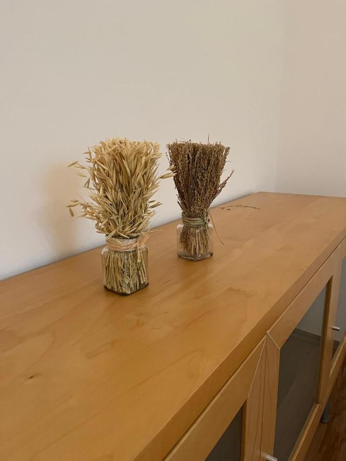 Ferienwohnung Schennach 奥布施泰希 外观 照片